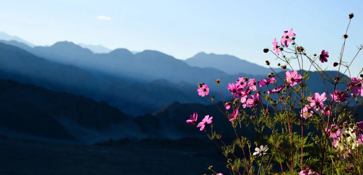 Golden Age Ladakh Tour